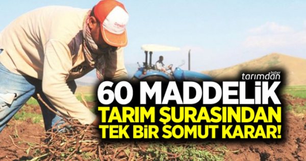 Tarım Orman Şurası kararlarına çiftçiden ilginç yorum