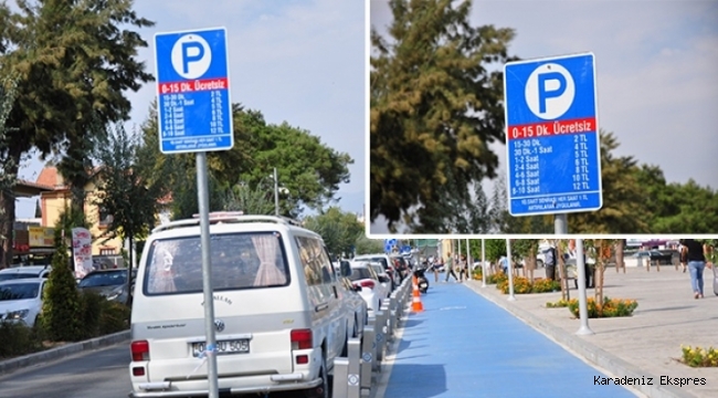 Danıştay 8. dairesi otopark kararı - Danıştay'dan Yoldan Alınan Otopark Paralarına İptal