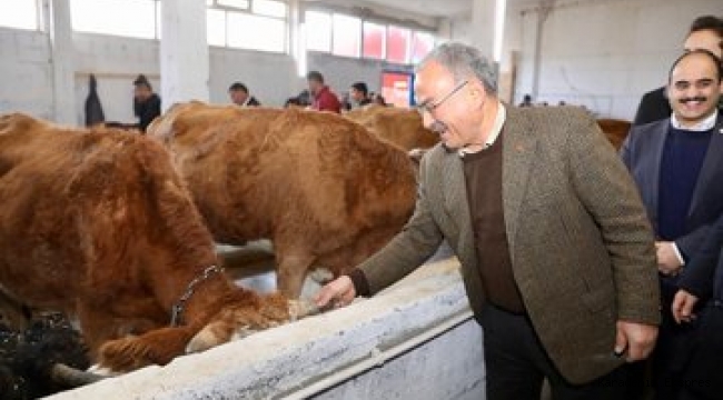 Ordu BŞB, Mesudiye Belediyesi ile gerçekleştirdiği ortak çalışmayla,Hayvan Bakım Oteli ve Kiralama Merkezini hizmete açtı