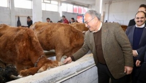 Ordu BŞB, Mesudiye Belediyesi ile gerçekleştirdiği ortak çalışmayla,Hayvan Bakım Oteli ve Kiralama Merkezini hizmete açtı