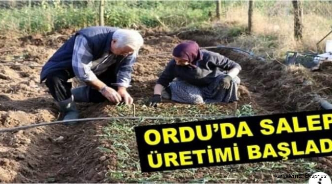 Kilosu 800 ile 1000 tl arasında değişiyor