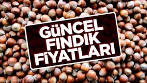 Fındık fiyatlarında son durum! 13 Şubat Perşembe il il güncel fındık fiyatları