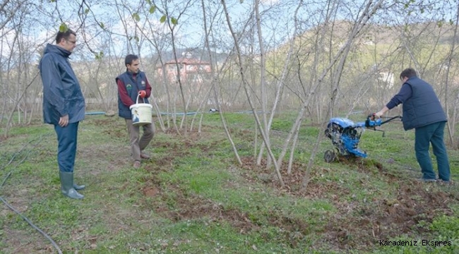 Geleneksel Uygulamalar Son Bulacak Fındıkta Verim Ve Kalite Artacak