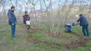 Geleneksel Uygulamalar Son Bulacak Fındıkta Verim Ve Kalite Artacak