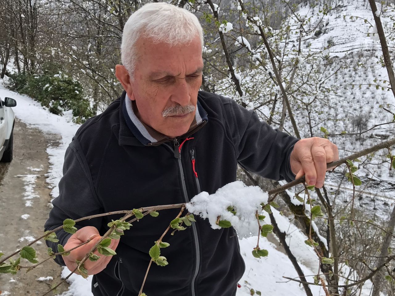 KAR YAĞIŞI FINDIĞA YARADI