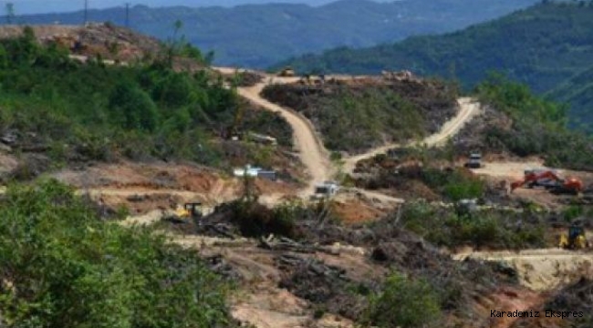 Karadeniz'in fındığı, suyu, doğası siyanür tehdidi altında