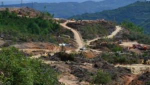 Karadeniz'in fındığı, suyu, doğası siyanür tehdidi altında