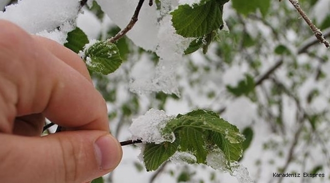 ORDU'YA KAR VE SOĞUK HAVA GERİ GELDİ