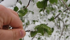 ORDU'YA KAR VE SOĞUK HAVA GERİ GELDİ