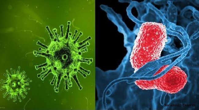 Virüs Nedir ? Bakteri nedir ?