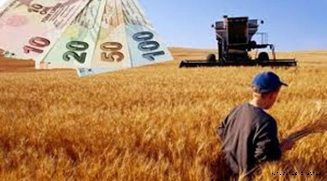2020 yılı destekleri hangi illerde çiftçilere ne kadar ödendi?