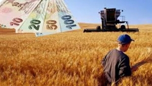 2020 yılı destekleri hangi illerde çiftçilere ne kadar ödendi?
