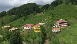 Birinin Hayatında Bir Fark Oluşturmaya Çalışın