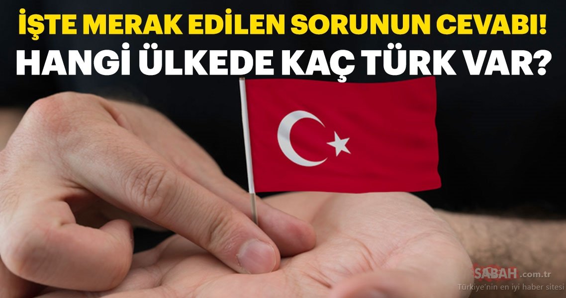 DÜNYANIN NERESİNDE NE KADAR TÜRK VATANDAŞI YAŞIYOR?