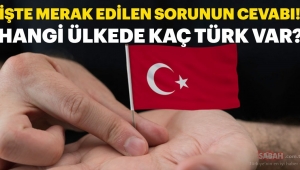 DÜNYANIN NERESİNDE NE KADAR TÜRK VATANDAŞI YAŞIYOR?