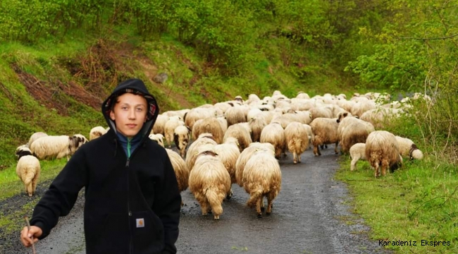 Erdoğan'a sahip çıkılmalı