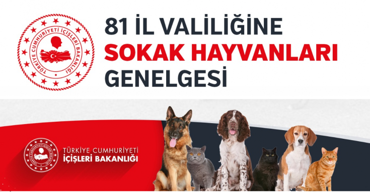 İçişleri Bakanlığından Valiliklere Sokak Hayvanları Genelgesi