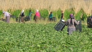 MHP'li Bulut kalkınma hamlesini köylerden başlayarak tekrar başlatmamız gerekiyor