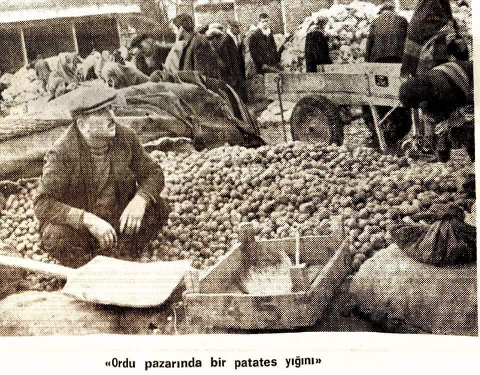 ORDU'NUN GOSTİL (PATATES) HİKAYESİ