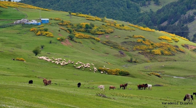 Salgından sonra tarım daha önemli olacak