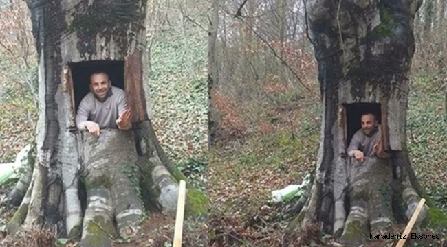Samsun’da bir yurttaş ağaç oyuğunda savunmaya geçti: “Korona gelsin de beni burada bulsun”