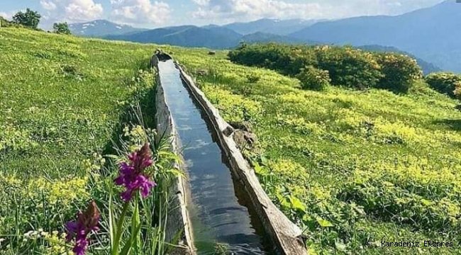 Zulüm zirveye çıkarsa İlahi adaleti kimse durduramaz