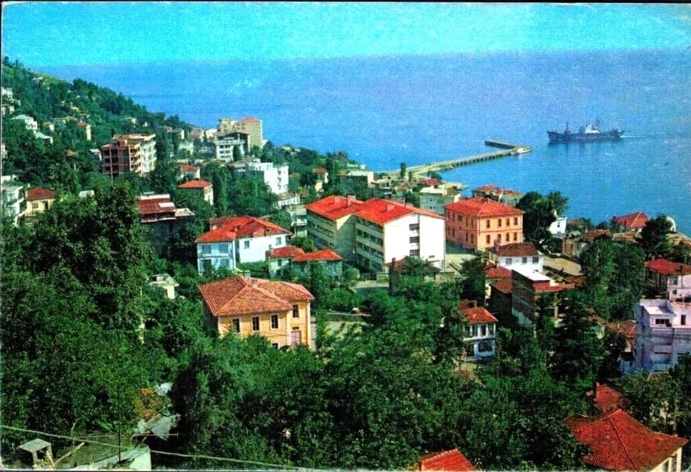 BİR ZAMANLAR ORDU O KADAR YEŞİLDİ Kİ..