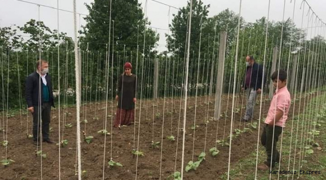 Fasülye Yetiştiriciliğinin Geliştirilmesi Projesi