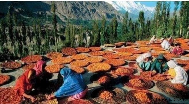 #HUNZA TÜRKLERİ