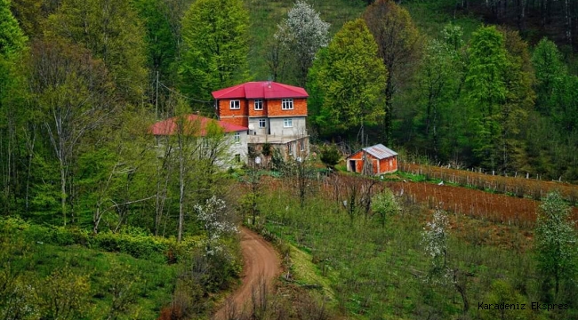 Hz. Peygamber (sas)’in Rüyada Görülmesi