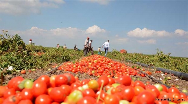 Koronavirüs Korkusu Uluslararası Tarım Ürünleri Ticaretine de Yansıdı