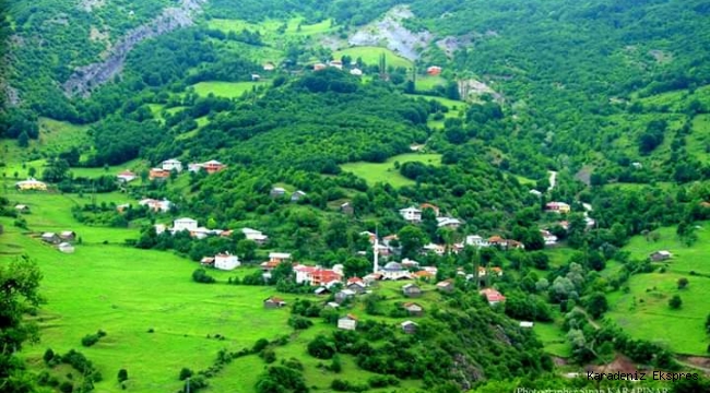 Küresel kapitalizm, aile işletmelerinin canına okudu; tarlaların son sahibi bankalar olmaya başladı