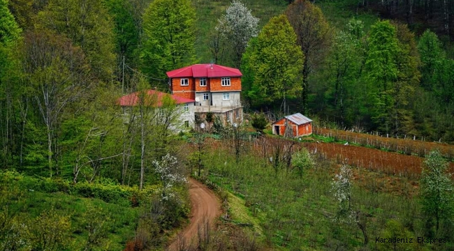 Mendil kadar toprak, gökyüzü kadar umuttur