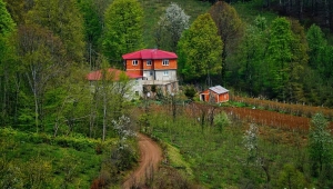 Mendil kadar toprak, gökyüzü kadar umuttur