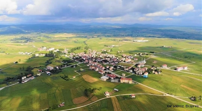 NİKSAR'DA BAKANLIKTAN HİBELİ FASULYE TOHUMU DAĞITILDI