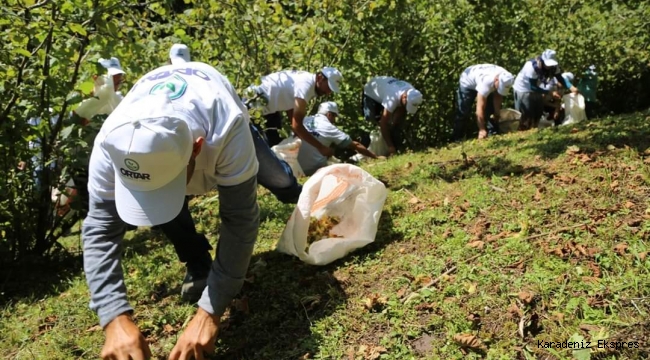 ORDU’DA YENİ SEZONDA ‘FINDIK DALDA, AKLIN İŞÇİDE KALMASIN’ PROJESİ UYGULANACAK 