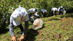 ORDU’DA YENİ SEZONDA ‘FINDIK DALDA, AKLIN İŞÇİDE KALMASIN’ PROJESİ UYGULANACAK 