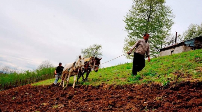 TARIMDA DEĞİŞMEZ DİKTATÖR İKLİMDİR 