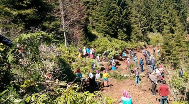 Trabzon Düzköy’de 3 mahalle halkı bir araya gelerek ağaç kesimini durdurdu