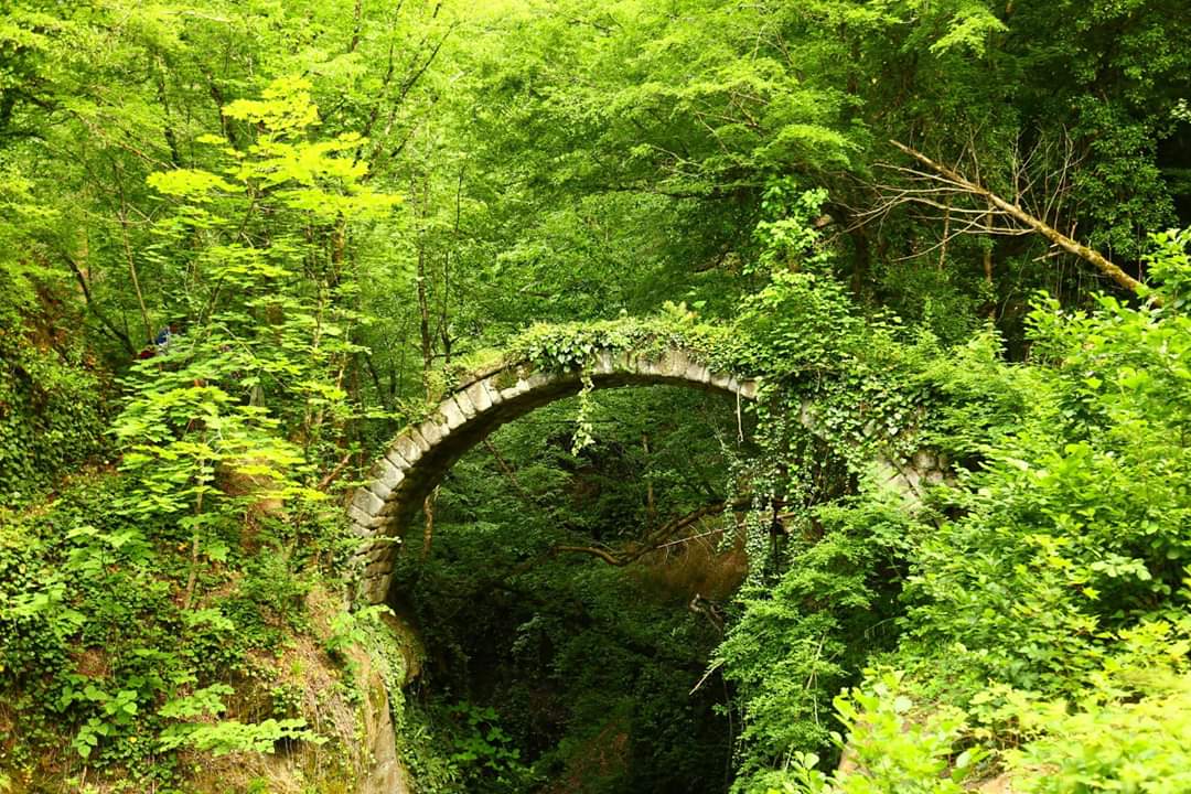 Artvin’in Borçka ilçesi Deviskel Vadisi içerisinde bulunan tarihi Banakna kemer köprüsü tarihe meydan okuyor