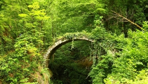 Artvin’in Borçka ilçesi Deviskel Vadisi içerisinde bulunan tarihi Banakna kemer köprüsü tarihe meydan okuyor