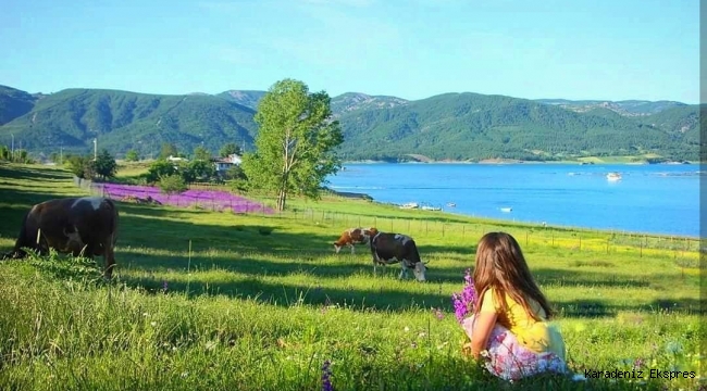 Dijital tarım pazarı projesi desteklenmeli