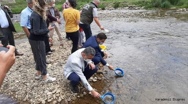 Doğallık gibisi varmı... 