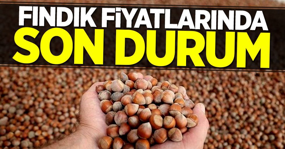 Fındık kaç lira? Fındık borsasında son durum...