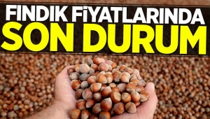 Fındık kaç lira? Fındık borsasında son durum...