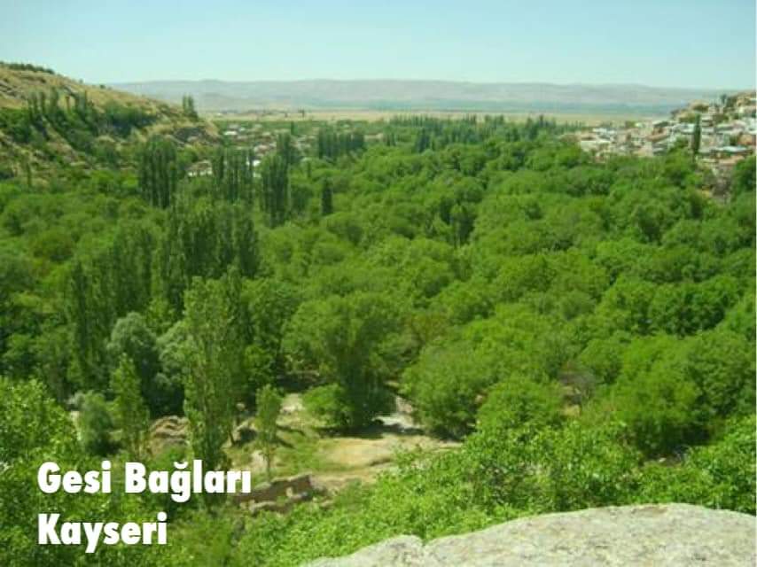 GESİ BAĞLARI TÜRKÜSÜ