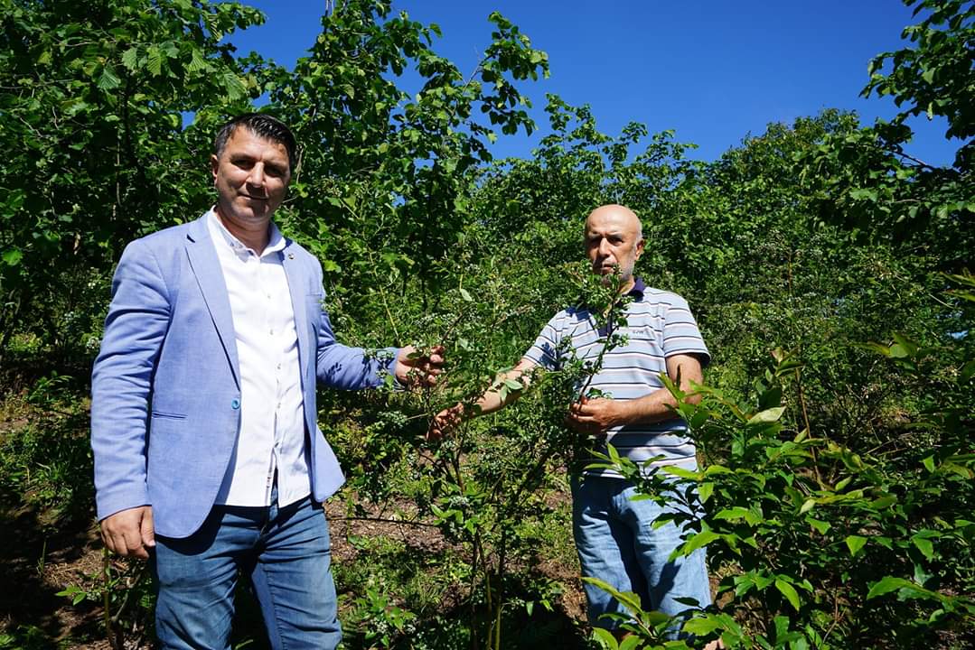 Gürgentepe de güzel işler oluyor...