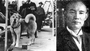 HACHİKO ‘NUN HİKÂYESİ (BİR SADAKAT EFSANESİ)