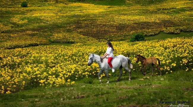 KUR'AN DA GEÇEN MÜ'MİNLERİN 100 ÖZELLİĞİ 