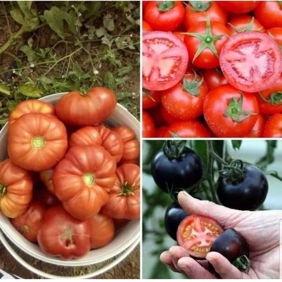 Nasıl bir tehlikeyle karşı karşıya olduğumuzun farkında mısınız?